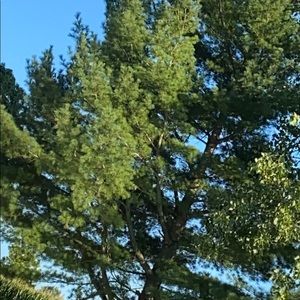 Meet your Posher, Clothes209